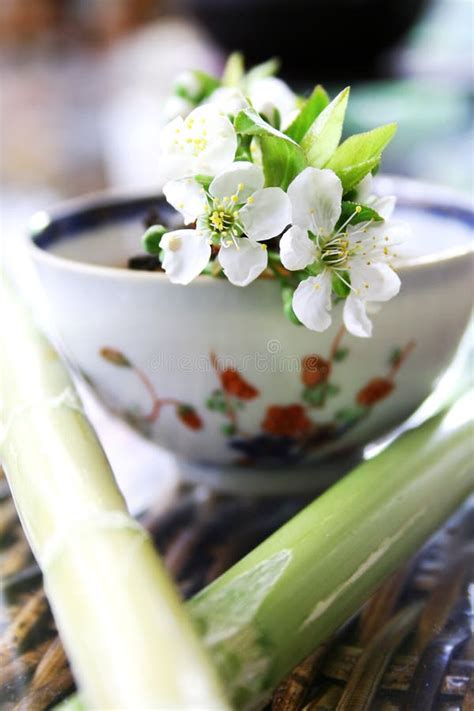 Tea Still Life Stock Image Image Of Bamboo Food Flower 666699