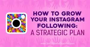 How To Grow Your Instagram Following A Strategic Plan