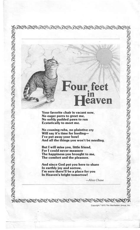 4 Feet In Heaven Pet Grief Pet Poems Crazy Cats