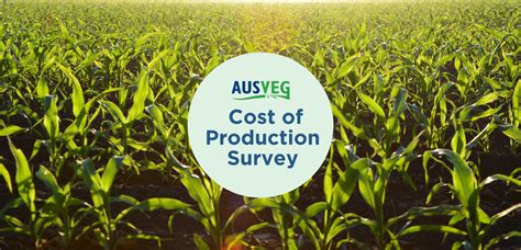 Ausveg Cost Of Production Survey Ausveg