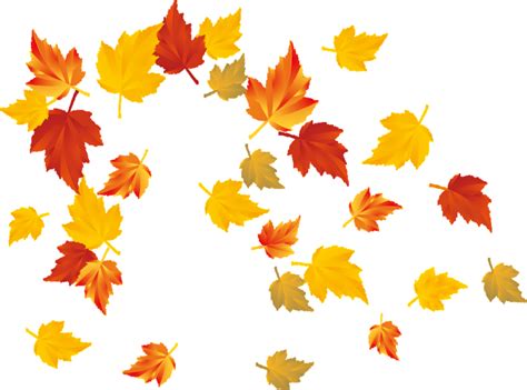 Картинка листопад для детей на прозрачном фоне: Осенние листья и ветки ...