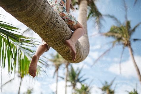 Brave Little Caucasian Girl Climbing Palm Tree By Stocksy Contributor Rob And Julia Campbell