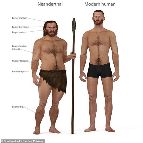 Woolly Mammoths And Neanderthals Shared Some Of The Same DNA And