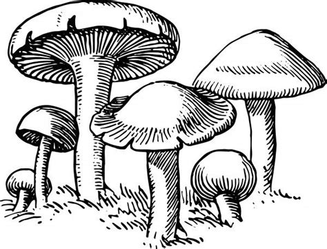 Stock Images Vintage Mushroom Clip Art Vintage Mushroom Art Clip