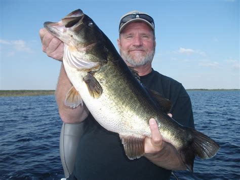 Best All Year Big Bass Fisheries In The United States Lake Okeechobee