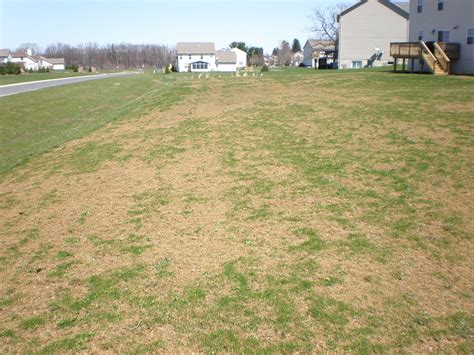 Winterkill Damage On Turfgrass In Central Pennsylvania Penn State