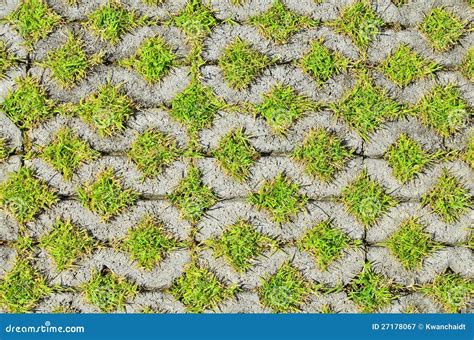 Green Grass In The Block Brick Royalty Free Stock Photography Image