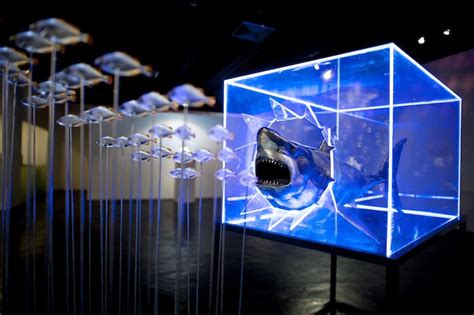 In Pics New Under The Sea Exhibition Imaginarium At The Singapore