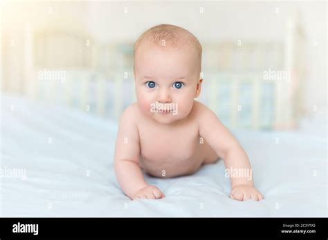 Cute Adorable Caucasian Little 5 Month Old Infant Baby Boy Lying On