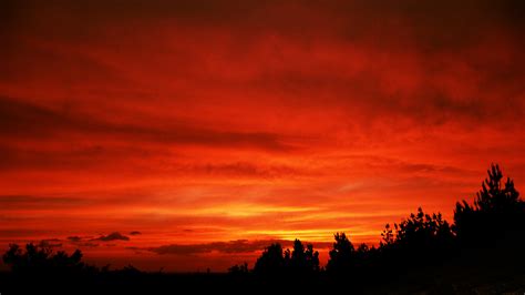 Red Sky At Night By Flesheatingbug On Deviantart