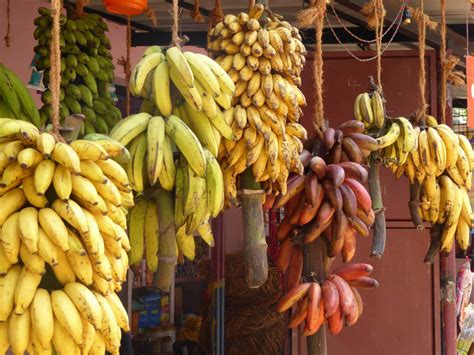 African Scientists Used Crispr To Edit Bananas And Make Them More
