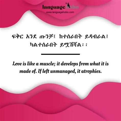 30 Best Love Quotes In Amharic Language Hobo