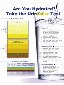 Dehydration Urine Color Chart Edit Fill Sign Online Handypdf
