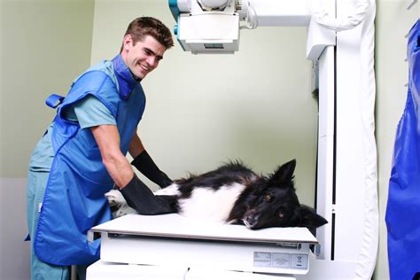 Veterinary Radiology Technician Salary
