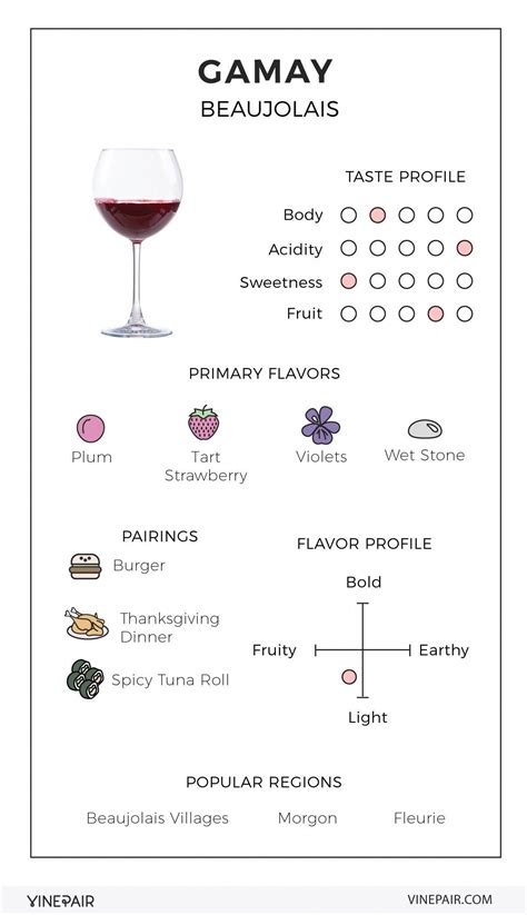 An Illustrated Guide To Gamay From Beaujolais Wineeducation