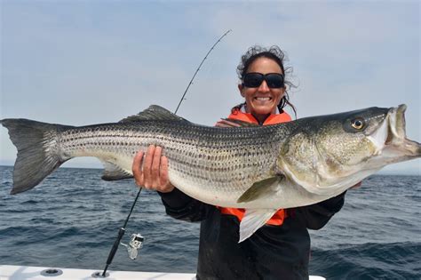 Cape Cod Fishing Report June 6 2019 On The Water