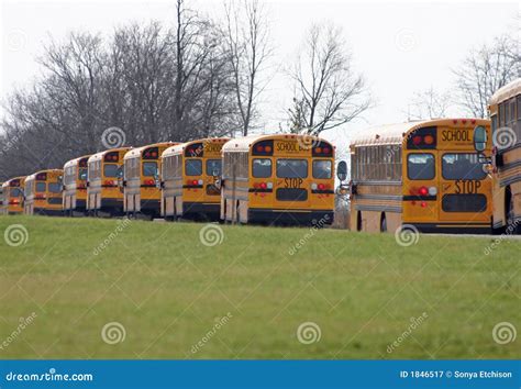 Autobuses Escolares Que Conducen En Una Línea Imagen De Archivo
