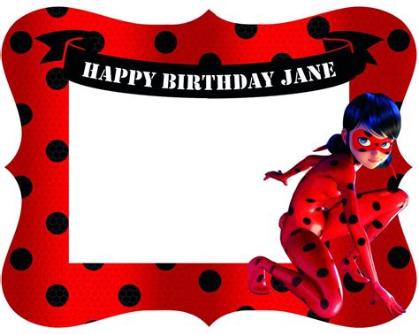 Miraculous Ladybug Cat Noir Birthday Party Photo Frame For Kids Party