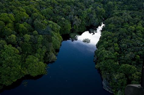 Brazil Highlights Rio De Janeiro Iguaçu Falls And Amazon Rainforest
