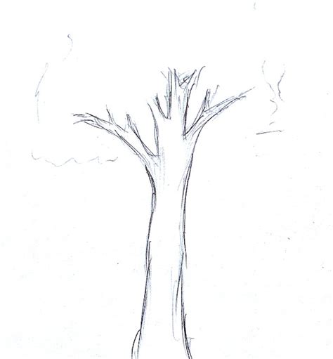 Detail Sketsa Pohon Tanpa Daun Koleksi Nomer 25