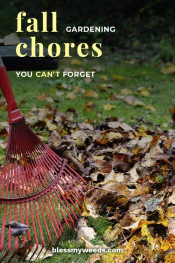 Fall Gardening Chores You Cant Forget ~ Bless My Weeds