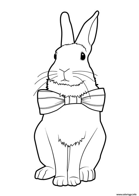 Coloriage Lapin 9