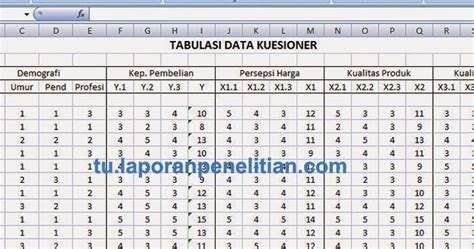 Analisa Data Kuesioner 47 Responden dengan Excel
