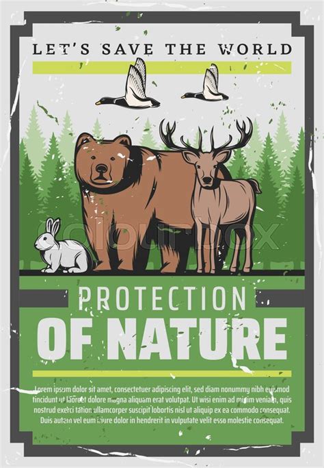 Protect Nature Save Wild Animals Stock Vector Colourbox