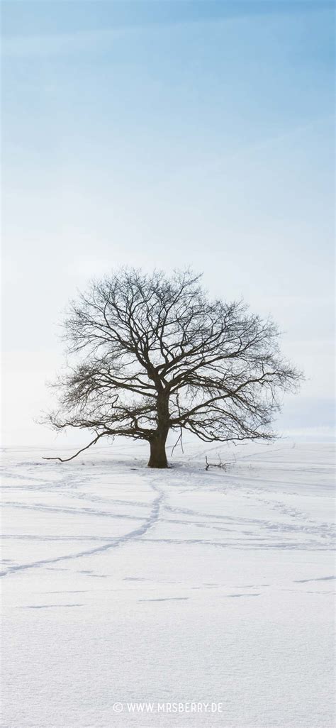 Winter Landscapes Wallpaper 86 Images