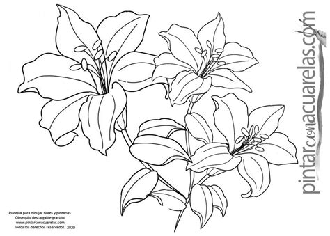 Plantillas con dibujos de Flores para imprimir - 🌺Pintar Con Acuarelas