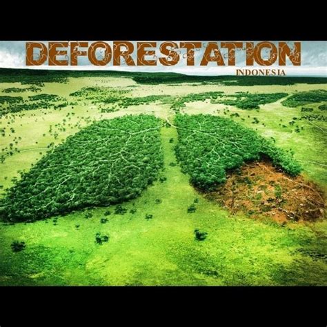 Fun facts about animals (youtu.be). 🐾🌱ᕼEᒪᑭ ᗩᑎIᗰᗩᒪᔕ ᑎᗩTᑌᖇE🐾🌱 | Deforestation, Deforestation ...