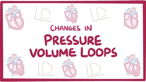 Changes In Pressure Volume Loops Video And Anatomy Osmosis