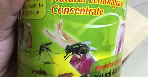 Cara Halau Semut Lipas Tikus Nyamuk Lalat Dan Serangga Lain Dengan