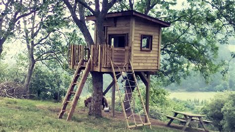Las casas en los arboles de la tribu korowai de nueva guinea. Que significa soñar con una casa en el árbol - Biblioteca ...