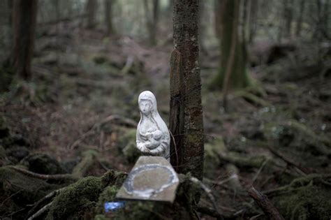 For Pieter Ten Hoopen Following Footsteps Into Japans Suicide Forest The New York Times