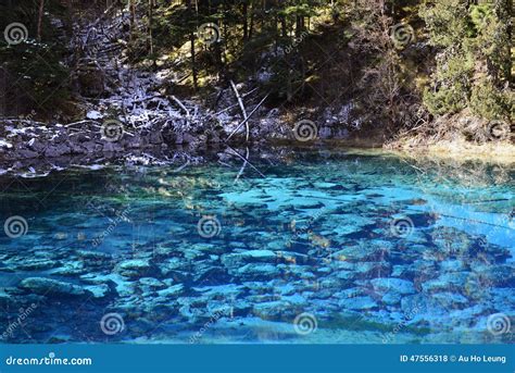 Five Color Pond Jiuzhaigou Stock Photos Download 99 Images