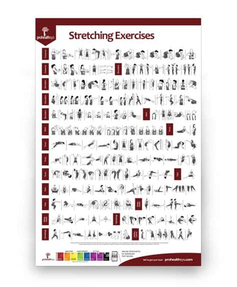Stretching Exercises Poster Prohealthsys Canada