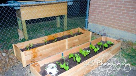 Cedar Raised Garden Beds Made From Fence Pickets Single Width Ana White