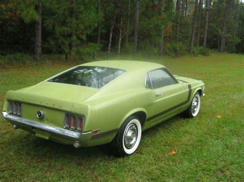 Fastback Will Paint Any Color Calypso Coral Boss 429 Clone Roller