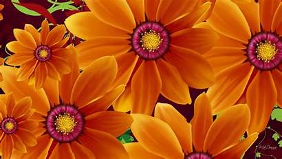 Flowers Desktop Orange Dark Pc Tablet Autumn