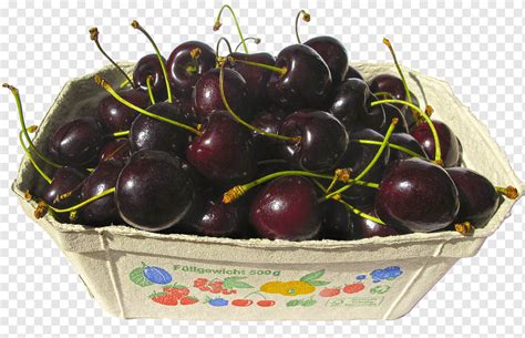 Cherry Ceri Cherry Manis Prunus Avium Buah Bing Fruity Makanan