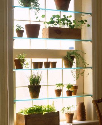 To build a diy greenhouse, see steps 3 through 10. glass shelves + plants + window = fab idea! | Indoor ...