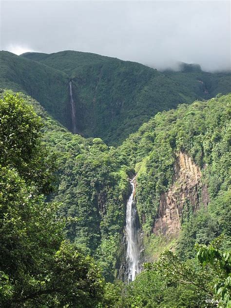 10 Cascades Incontournables En Guadeloupe