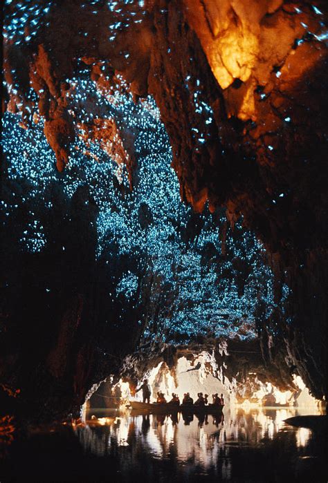 Waitomo Glowworm Caves New Zealand Photograph By Brian Brake Fine