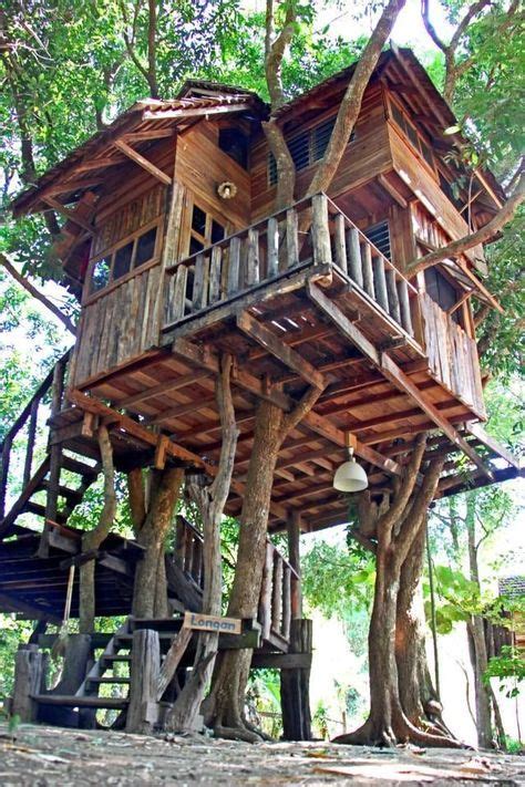 Gallery Rabeang Pasak Chiangmai Treehouse Resort Tree House Diy