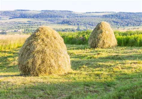 Pile Of Hay On Field Stock Photo Image Of Field Mountain 73139204