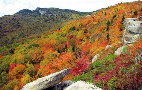 17 Best Images About Fall Foliage Blue Ridge Mtns On