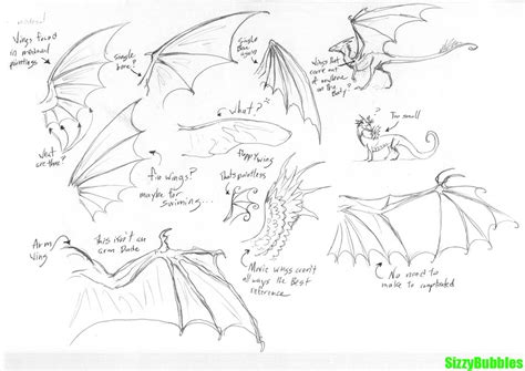 Dragon Wing Anatomy