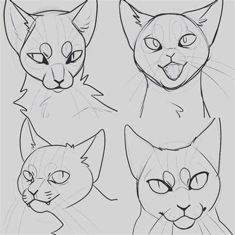 Cat Style Study By Uoneko On Deviantart Cat Face Drawing Warrior
