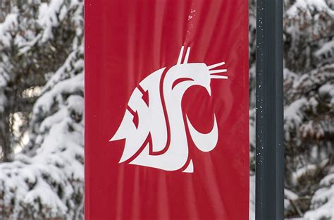 Curated Content — 11 29 2023 Wsu Insider Washington State University